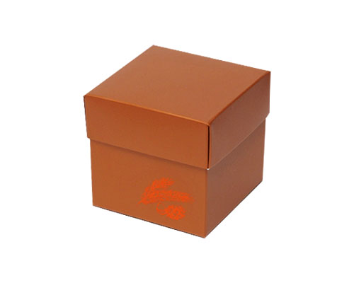 Cubebox Autumn figures 250 gr. hazelnut