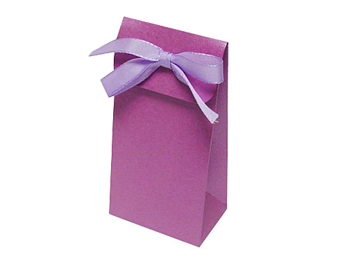 Hoog zakje+klepje 60x40x110mm plum