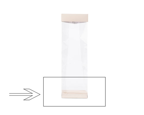 Arosabase 80x50x15mm seashell