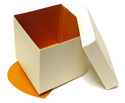 Cubebox appr. 1000gr  Duo Cairo ivory caramel