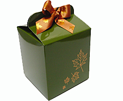 Cubebox 125x125x125mm Autumn design  Vert foret laque