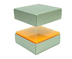 Skylinebox L100xW100xH100mm exterior Monaco Silver-orange