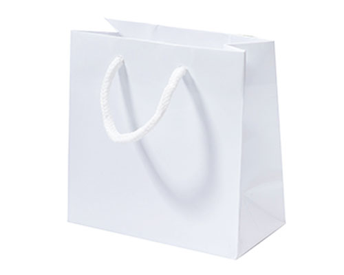 Paper bag luxe laminate L160xW80xH160mm white