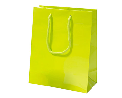 Paper bag luxe laminate L200xW100xH250mm lime