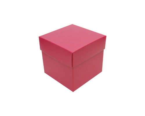 Cubebox appr. 375gr dahlia