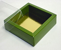 Windowbox 175x175x24mm vert foret laque