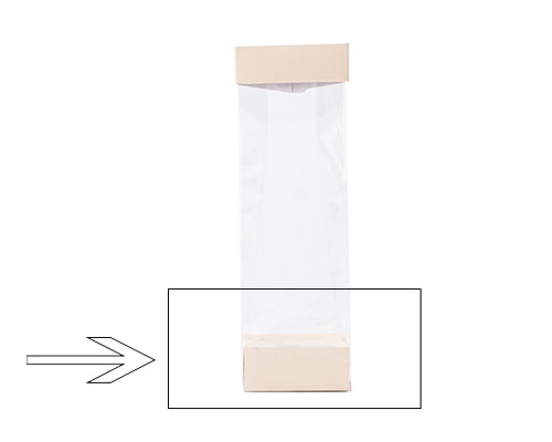 Arosabase 70x40x30mm seashell