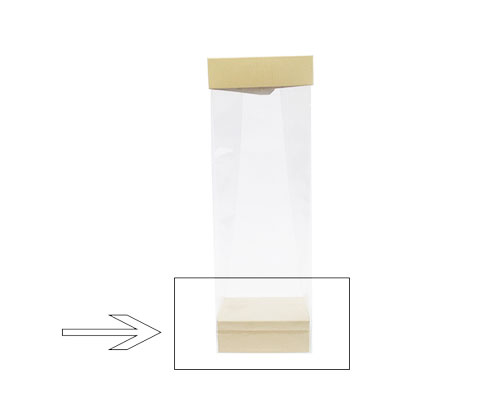 Arosabase 80x50x30mm seashell