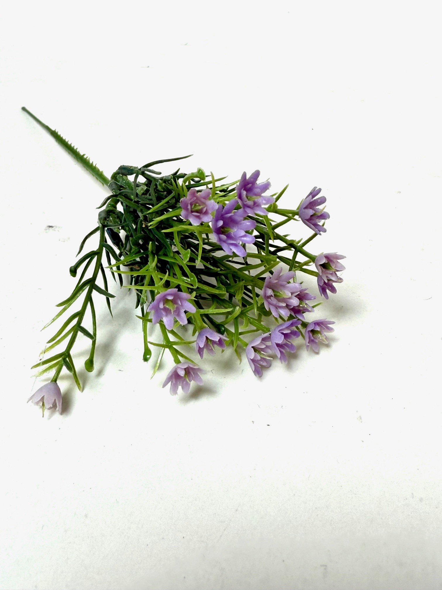 Gipskruid light lavender 
