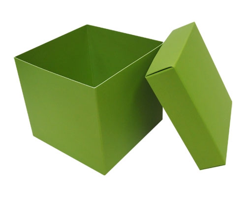 Cubebox appr. 750gr kiwi green