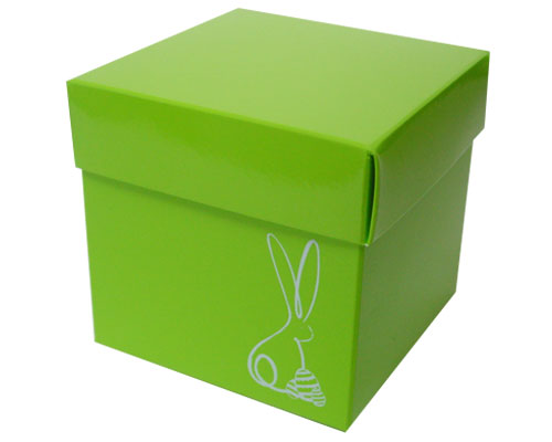 Cubebox Bunny L100xW100x95mm Vert pomme laqué