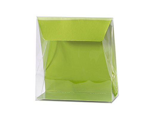 Pochette transparant L130xW50/H140mm kiwi green