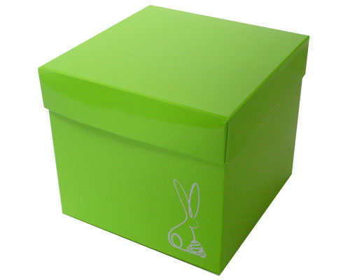 Cubebox Bunny L130xW130x115mm Vert pomme laqué